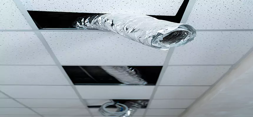 Affordable HVAC Sanitizing After Pest Removal in Lake Elsinore