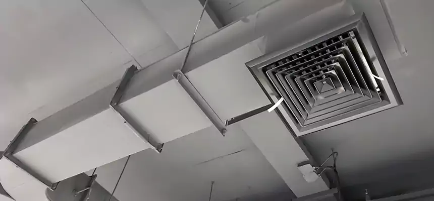 Restorative Allergy Relief Vent Cleaning – Coil, Blower & Housing Detail in Lake Elsinore