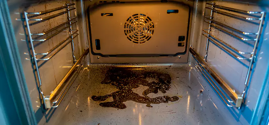 Our Dryer Vent Mold Cleaning Services in Lake Elsinore, CA