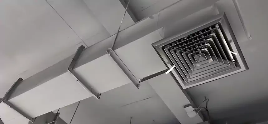 Our Pest Removal From Ducts Services in Lake Elsinore, CA