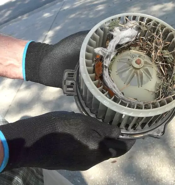 About Air Duct Mice Removal in Lake Elsinore, CA