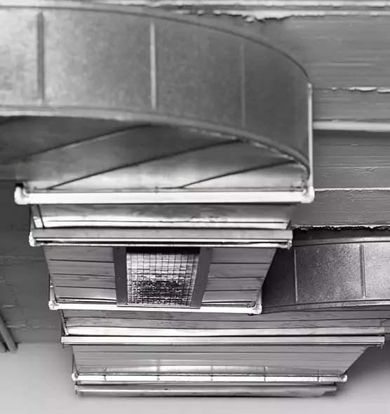 Professional Air Duct Pet Hair Removal in Lake Elsinore, CA