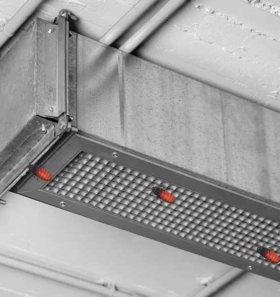 Affordable Insect Removal from Air Ducts in Lake Elsinore, CA