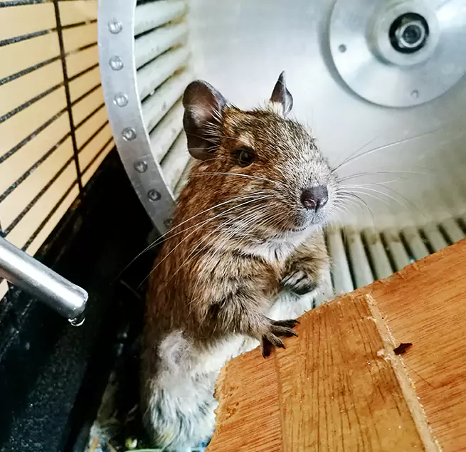 Why Homeowners & Businesses Trust Us Lake Elsinore, CA