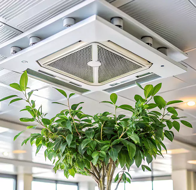 Why Homeowners & Businesses Trust Us in Lake Elsinore, CA