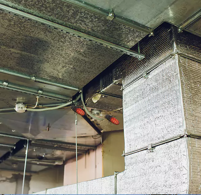 Why Homeowners & Businesses Trust Us Lake Elsinore, CA?