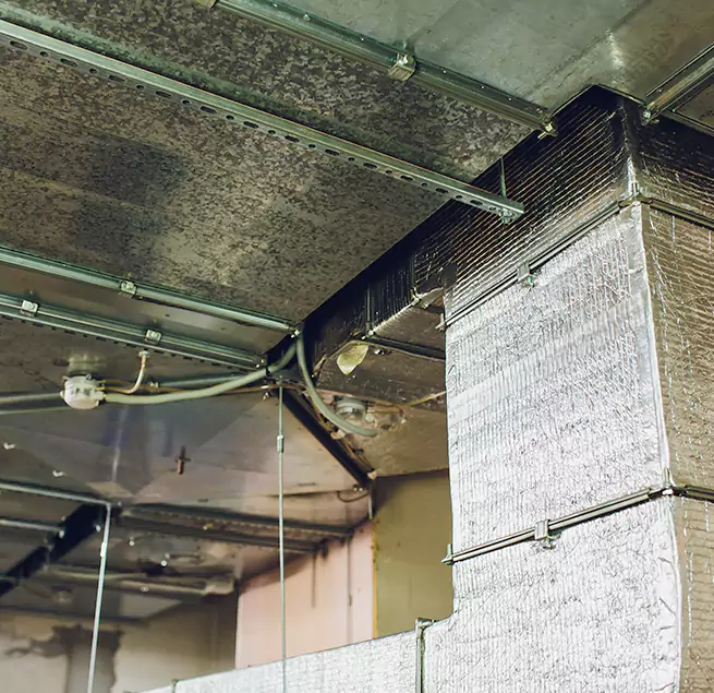 Why Homeowners & Businesses Trust Us in Lake Elsinore, CA?