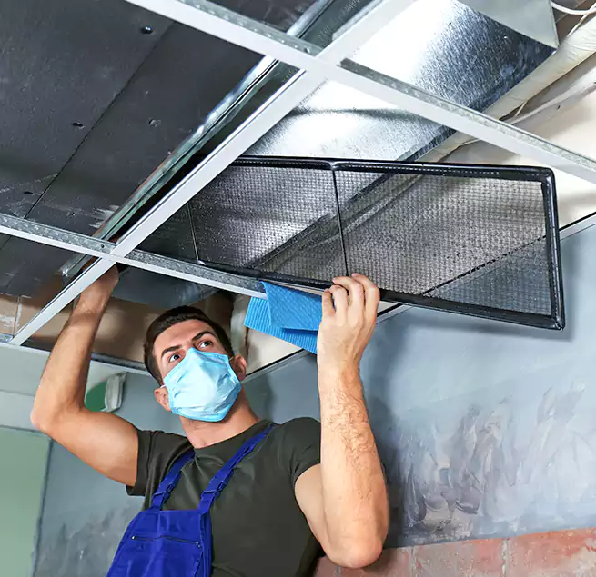 Why Homeowners Businesses Trust Us in Lake Elsinore, CA